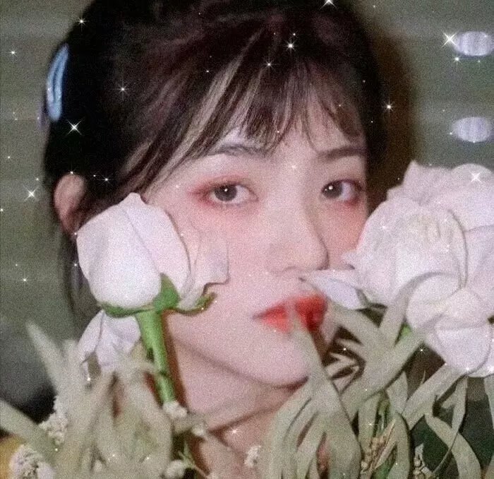 一笑倾国